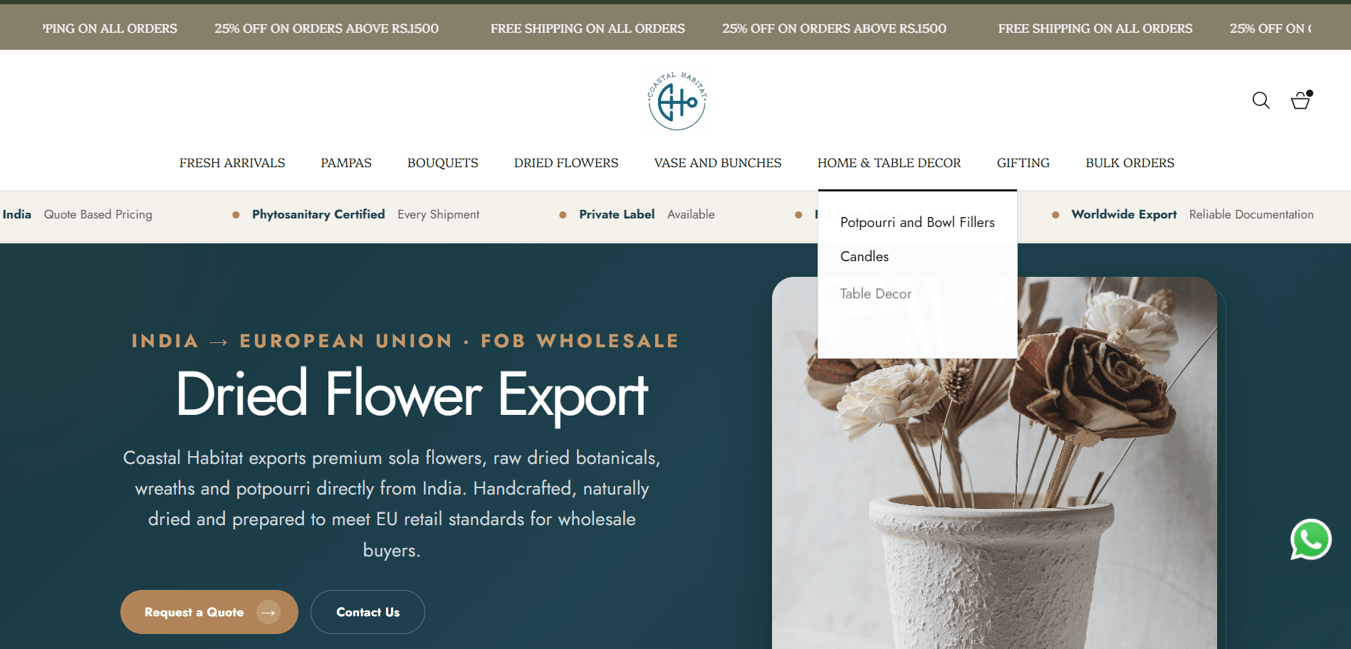Website project